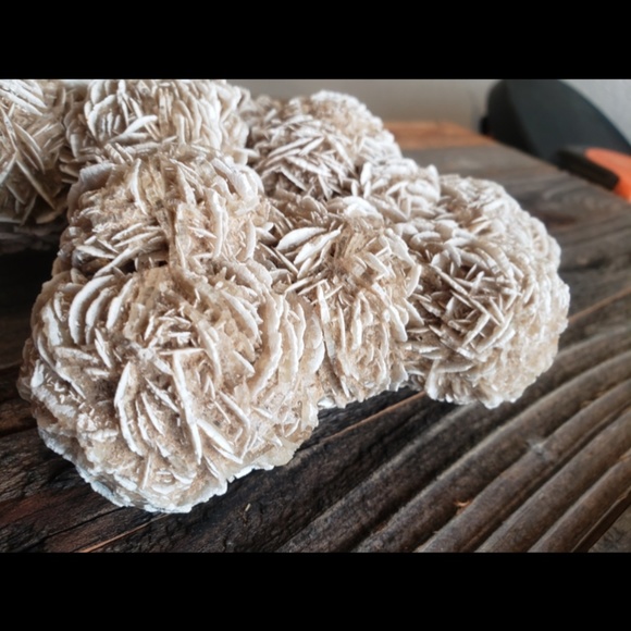 Desert Rose Beautiful Large - Picture 4 of 7